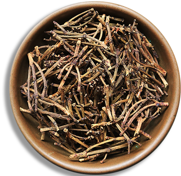 600,583 Clove Steam in bowl