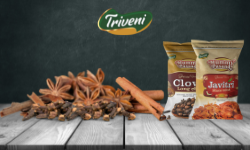 WHOLE SPICES SUPPLIER IN INDIAWHOLE SPICES SUPPLIER IN DELHIWHOLE SPICES IMPORTER IN INDIAAs we are the Whole spices Suppliers in Indiaand Pet preform for water bottles & also Mustard DOC Manufacturer India. https://trivenigroup.inhttps://trivenigroup.in/whole-spices-supplier-in-india/