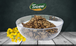 WHOLE SPICES SUPPLIER IN INDIAWHOLE SPICES SUPPLIER IN DELHIWHOLE SPICES IMPORTER IN INDIAAs we are the Whole spices Suppliers in Indiaand Pet preform for water bottles & also Mustard DOC Manufacturer India. https://trivenigroup.inhttps://trivenigroup.in/whole-spices-supplier-in-india/