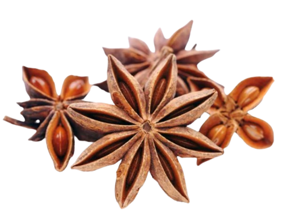 Health Benefits of Star Anise