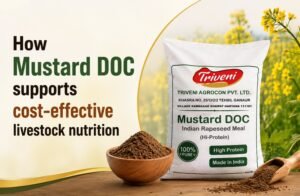 Read more about the article How Mustard DOC Supports Cost-Effective Livestock Nutrition