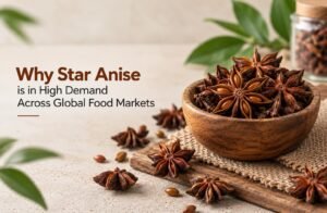 Read more about the article Why Star Anise is in High Demand Across Global Food Markets
